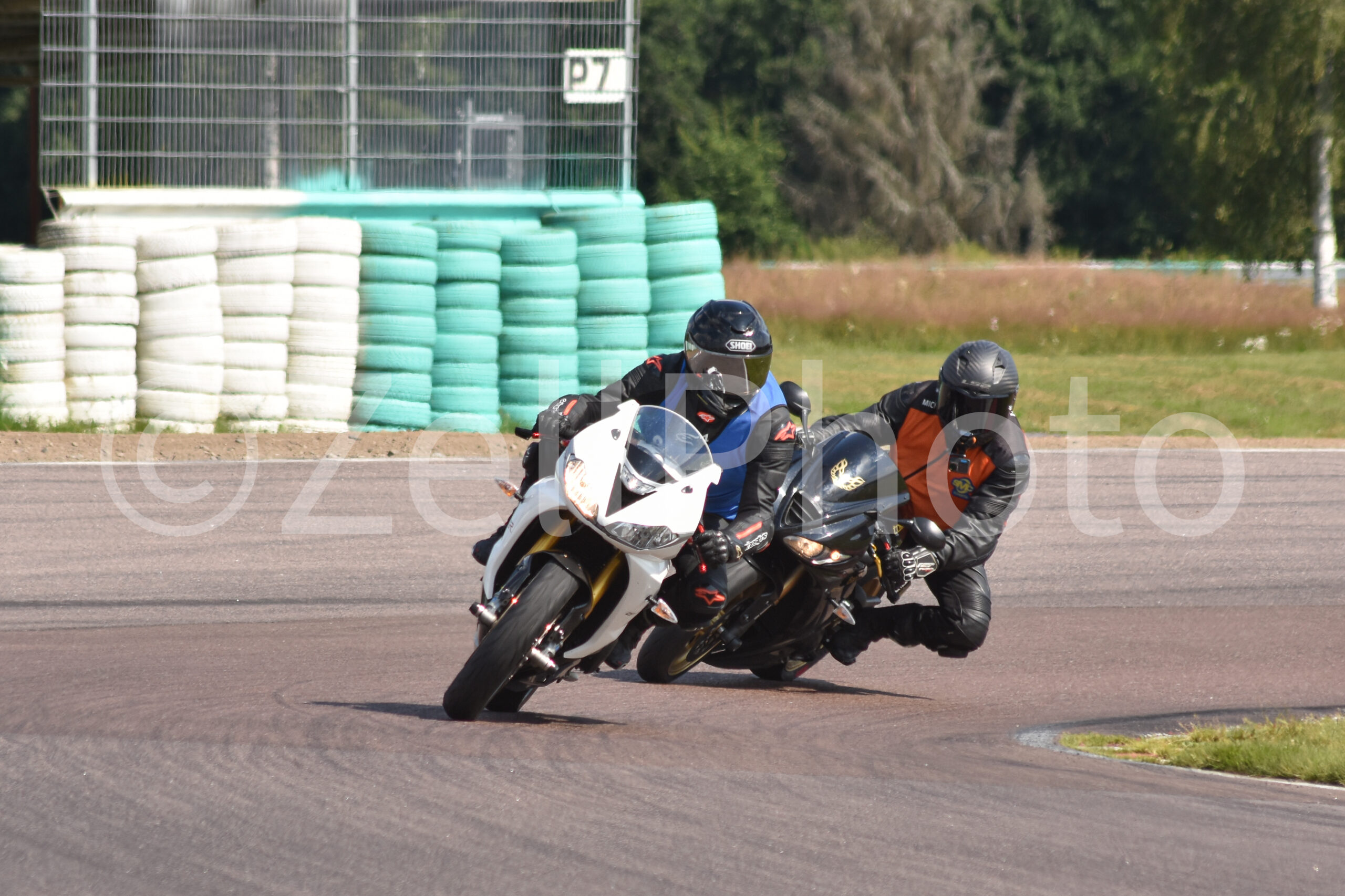 https://zellphoto.se/produkt/1380/