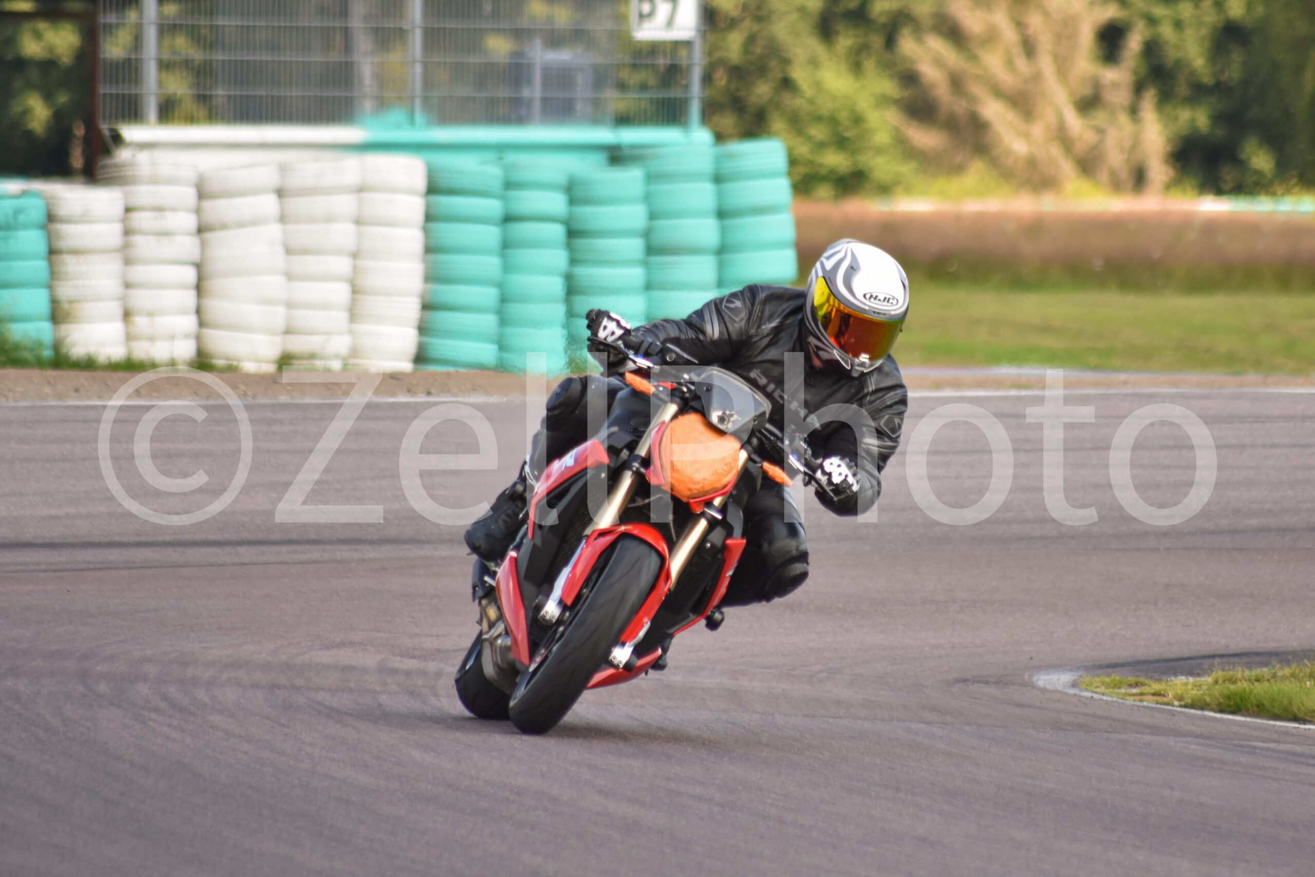 https://zellphoto.se/produkt/2562/