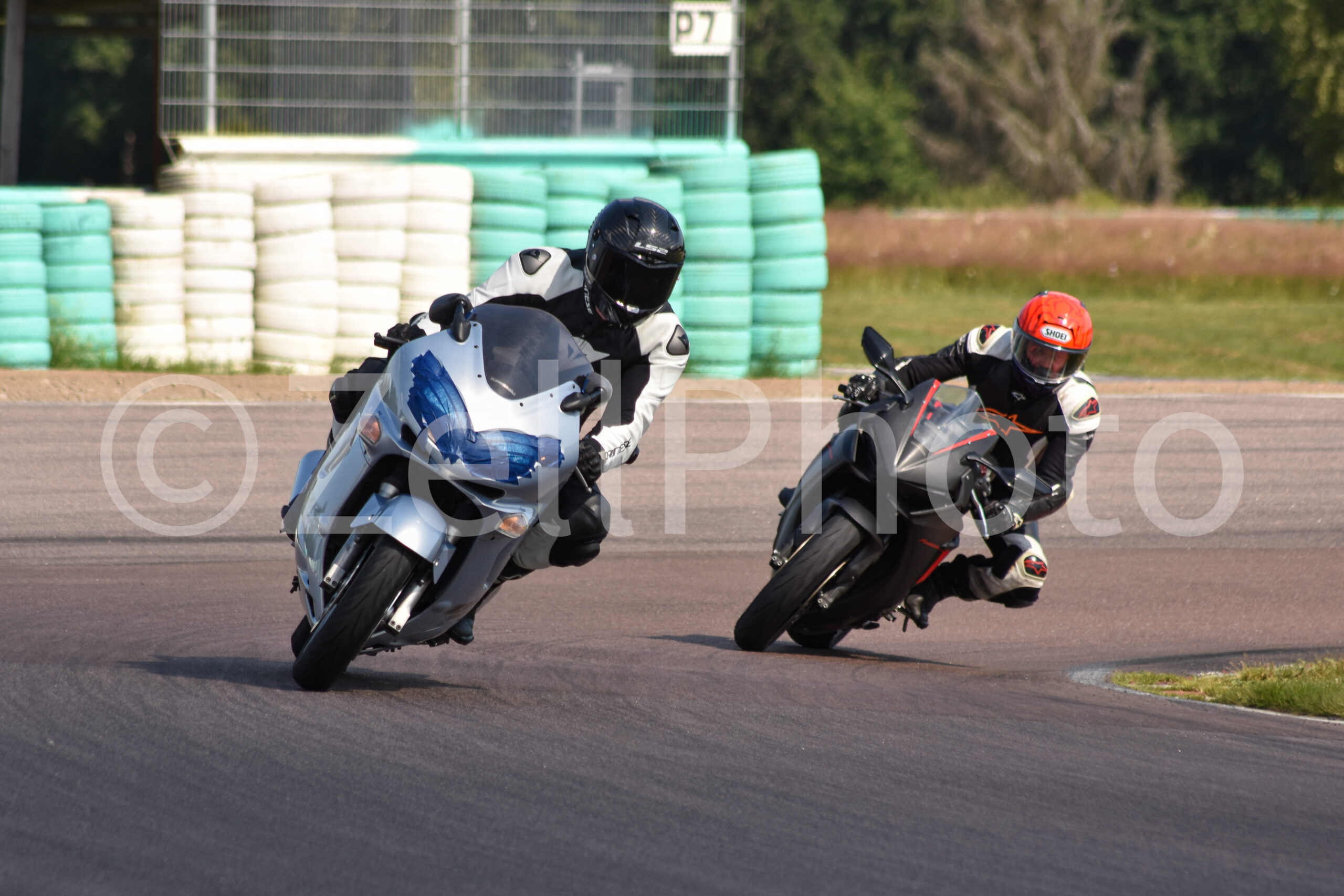https://zellphoto.se/produkt/2578/